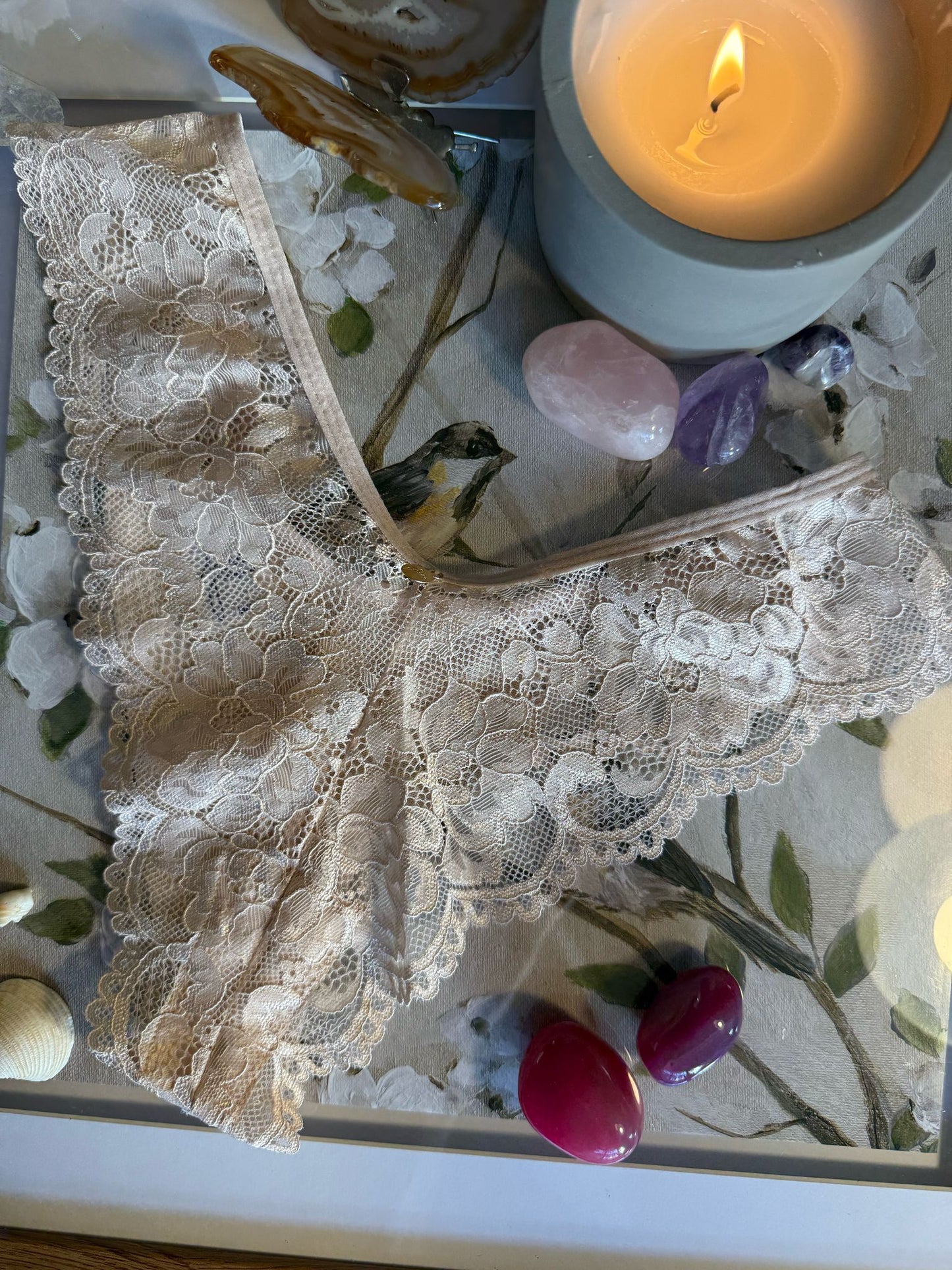 Beige Lovers Lace Pantie