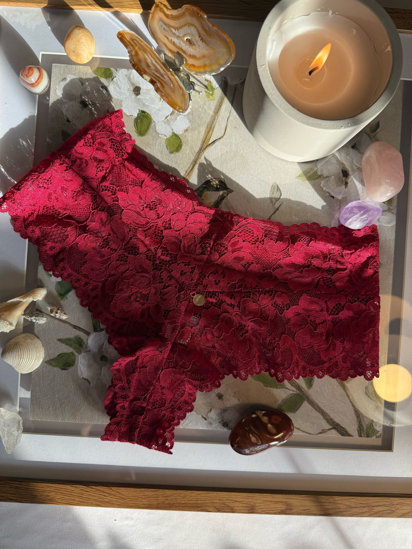 High-waisted design Lace Panties